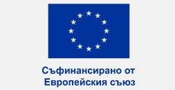Office in Romania